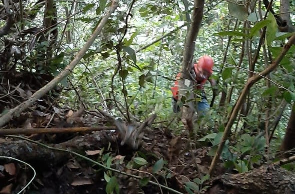 Corpo de homem foi encontrado na zona sul de Marília — Foto: Arquivo pessoal