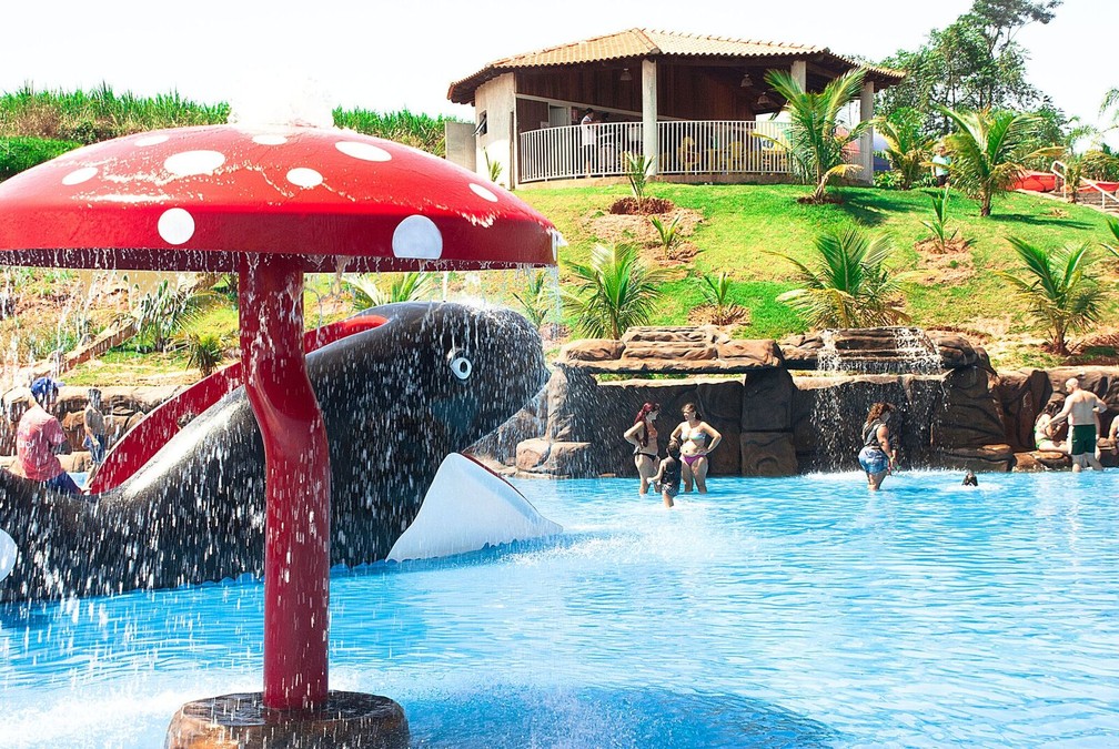Confira As Novidades Do Thermas Pacu Acqua Park Centro De Lazer Que Mais Cresce Na Regiao Especial Publicitario Thermas Pacu Acqua Park G1