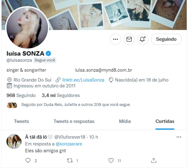 Luísa Sonza curte comentário (Foto: Reprodução/Twitter)