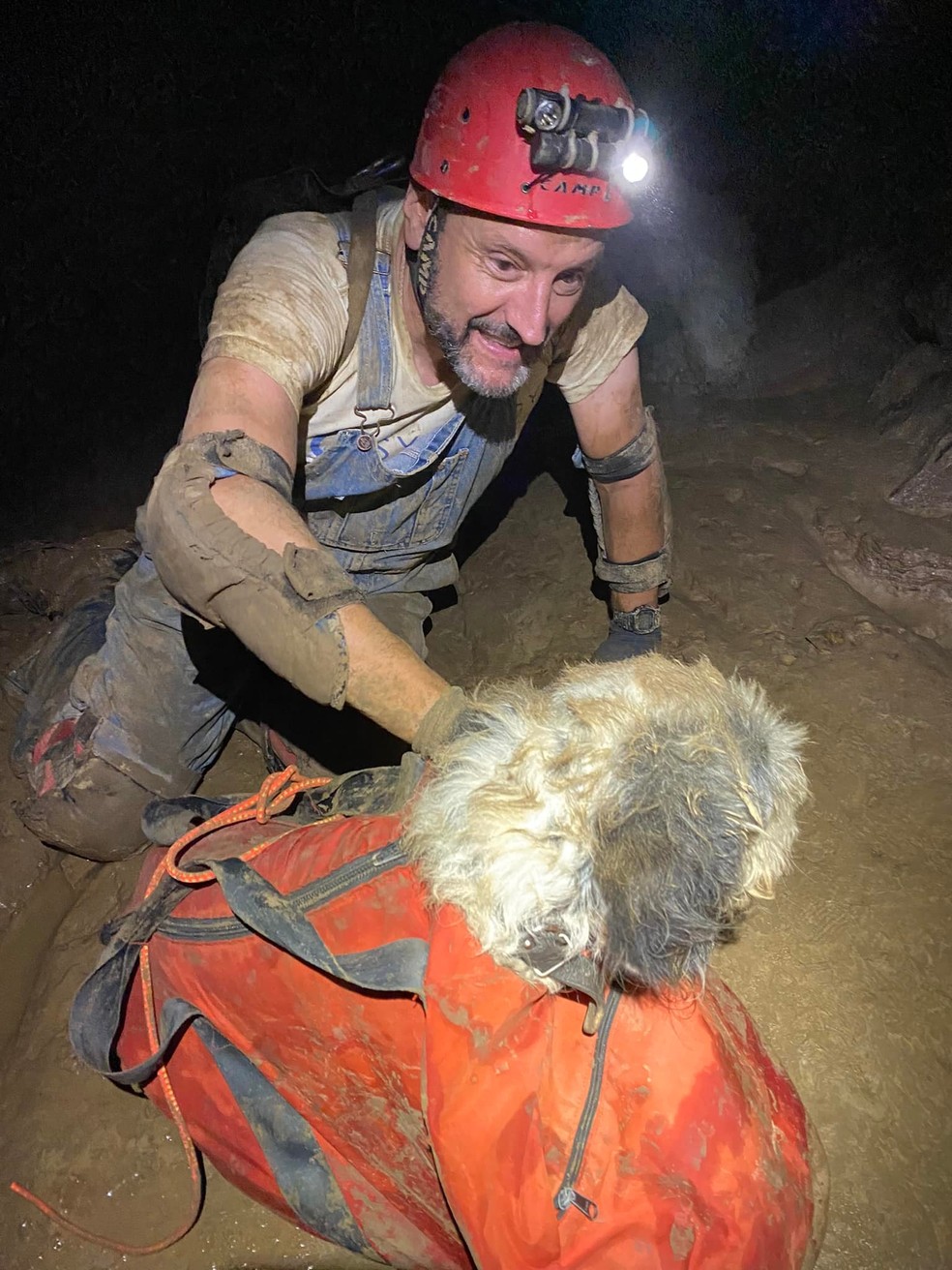 Cachorra Abby é resgatada por espeleólogos em caverna no Missouri, nos EUA — Foto: Reprodução