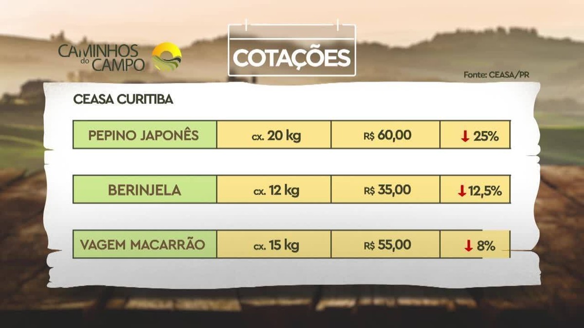 Produtos da Ceasa têm variação de preço no Paraná; veja valores Caminhos do Campo G1