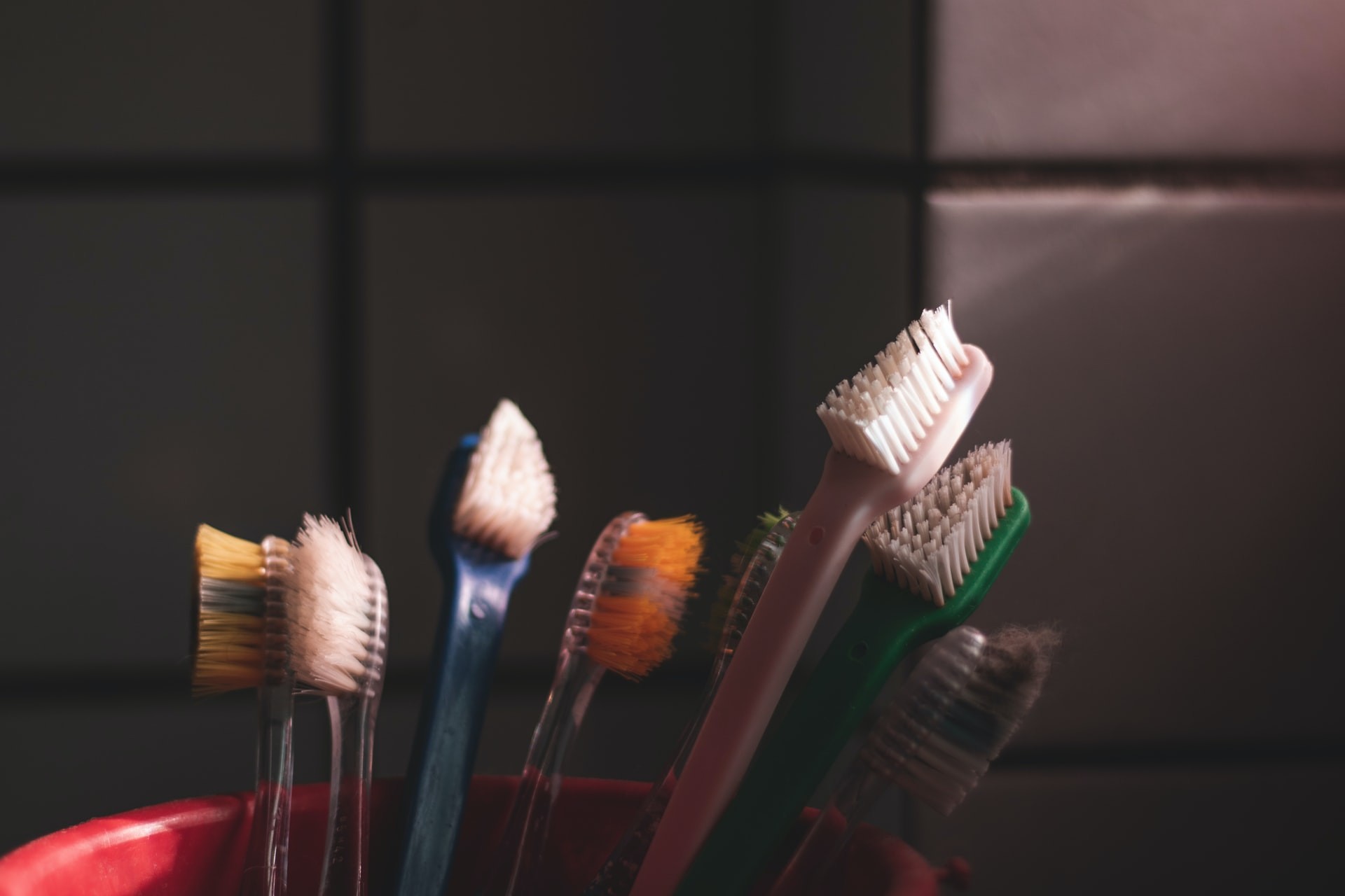 Novo estudo mostra que a esmagadora maioria das bactérias que se acumulam sobre escovas de dente vem da boca (Foto:  bored photographer)