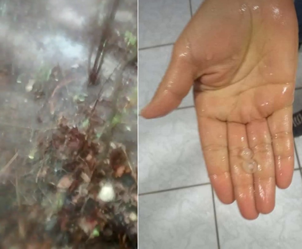 Chuva de granizo deixou moradores de Governador Dix-Sept Rosado surpresos â€” Foto: Redes sociais