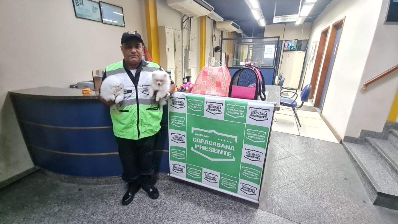 Polícia prende mulher que usou PIX fraudado de R$ 10 mil para comprar cães da raça Lulu da Pomerânia