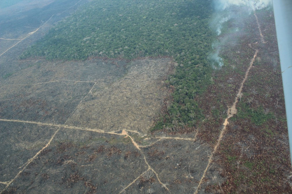 Desmatamento no sul do Amazonas, em Apuí — Foto: Jonatas Boni/G1