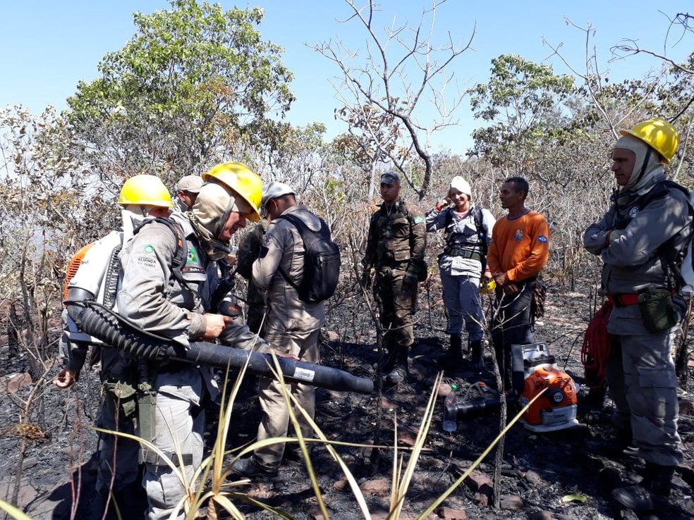 IncÃªndio foi controlado com ajuda de brigadistas e voluntÃ¡rios (Foto: DivulgaÃ§Ã£o)