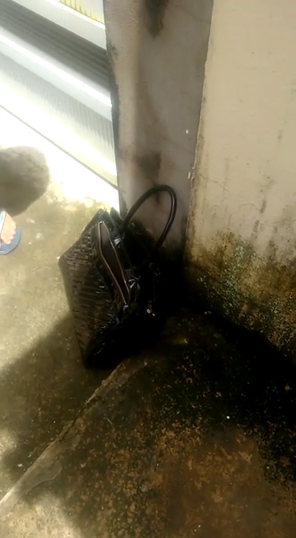 Bolsa com recém-nascido foi deixada no portão de uma residência em São Luís — Foto: Reprodução/Redes Sociais