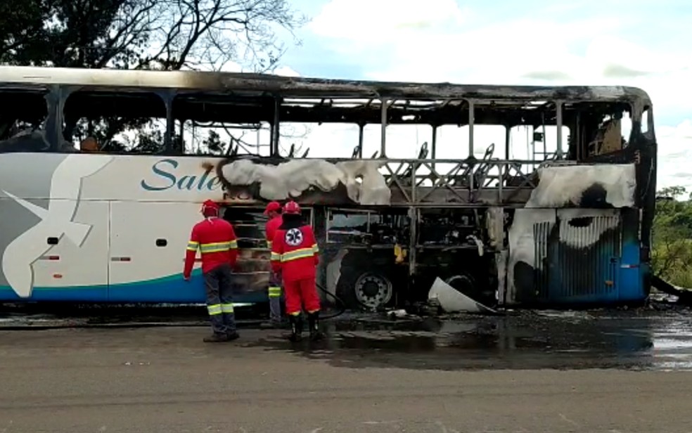 Ônibus pega fogo na BR-060, em Anápolis — Foto: Reprodução/TV Anhanguera