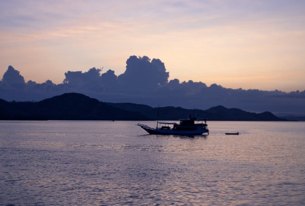 O Parque Nacional de Komodo foi declarado patrimônio da UNESCO em 1991 e tem como objetivo de proteger espécies locais e seus habitats. (Foto: Unsplash/  Christoffer Engström/ CreativeCommons)