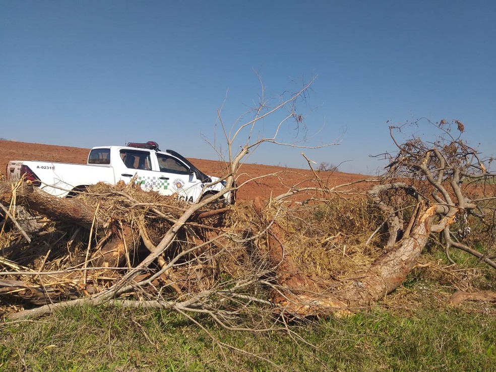 Degradação ambiental foi constatada em sítio em Mirante do Paranapanema — Foto: Polícia Militar Ambiental