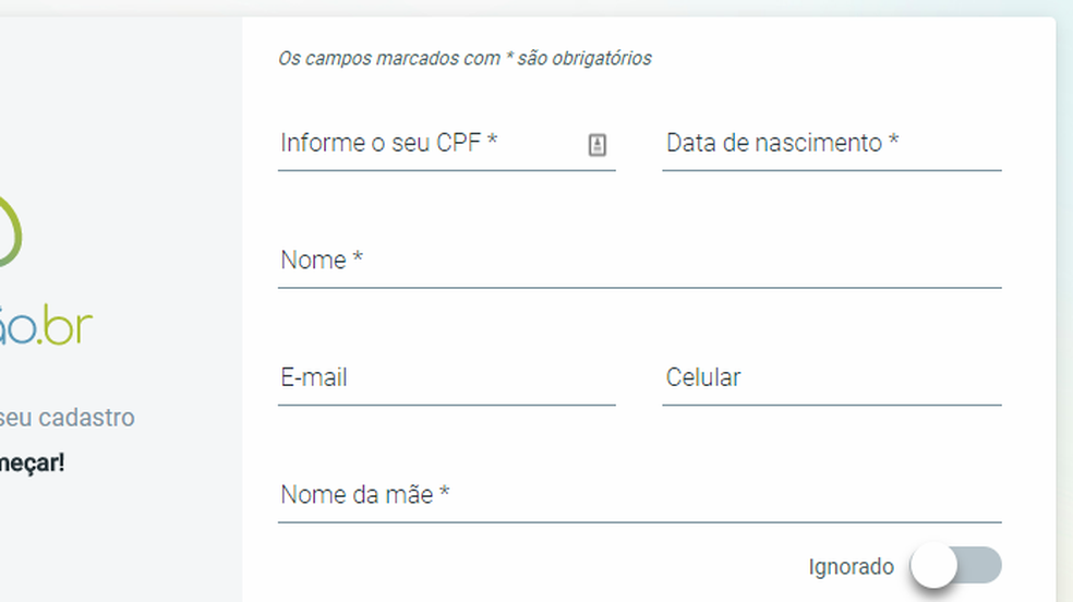 Preencha o formulário e responda a perguntas do seu histórico de trabalho para acessar o Meu INSS (Foto: Reprodução/Paulo Alves)