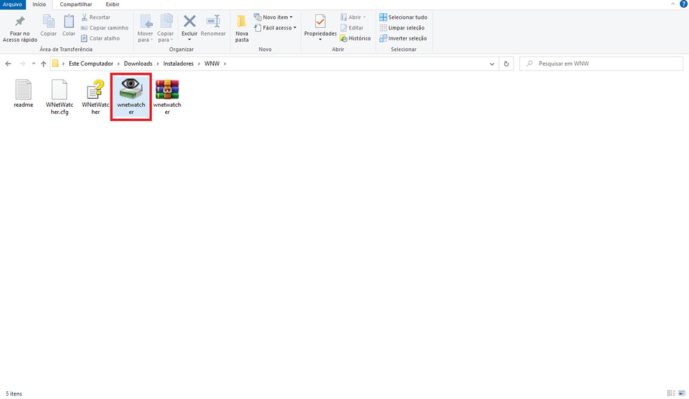 Ícone do Wireless Network Watcher — Foto: Reprodução/Gabriel Pereira