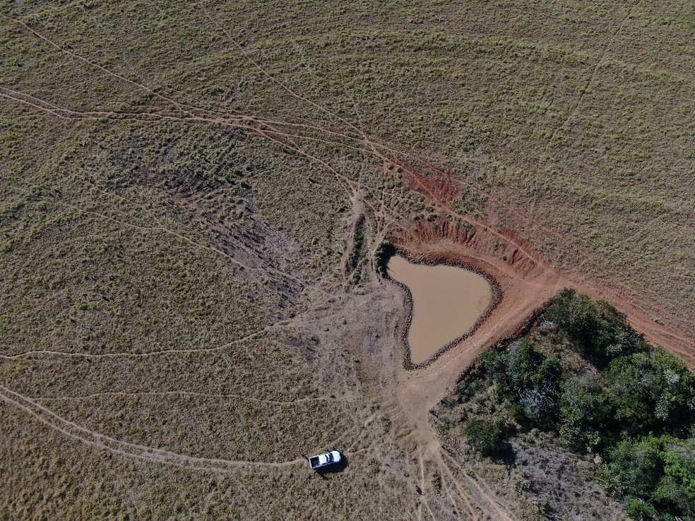 Fazendeiro foi multado em R$ 2,2 mil por degradação em uma APP, em Pirapozinho — Foto: Polícia Militar Ambiental