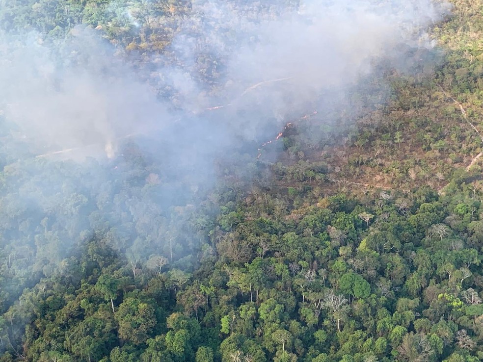 Área atingida por queimada na APA Alter do Chão — Foto: Exército/Divulgação