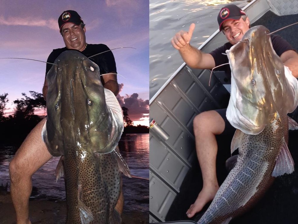 Empresário capturou peixe com mais de 75 quilos em rio de MS — Foto: Arquivo pessoal/ Reprodução 
