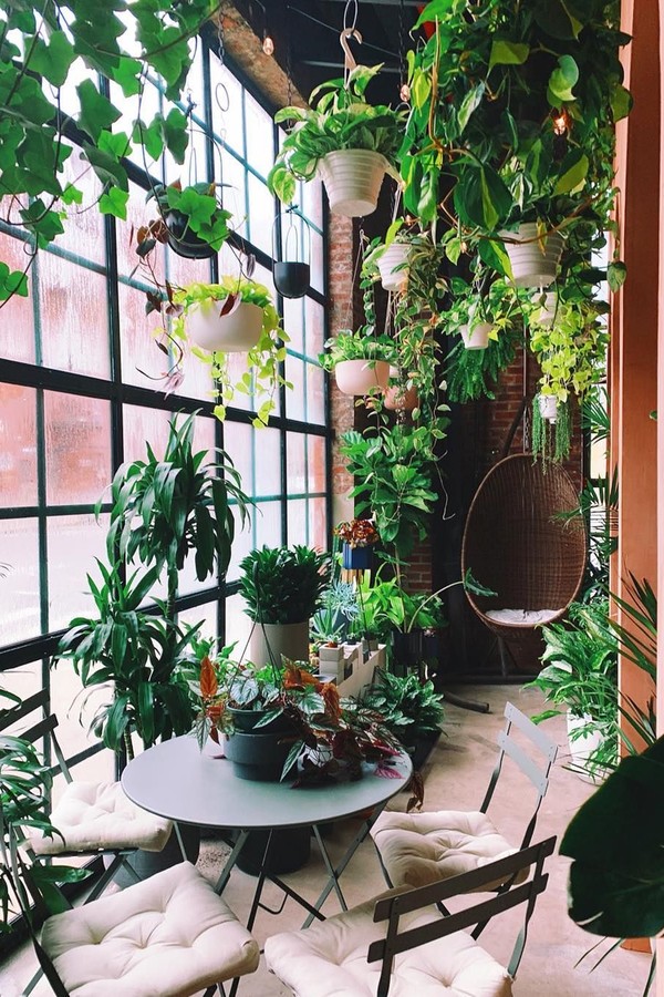 Urban Jungle: Como transformar sua casa em um oásis verde