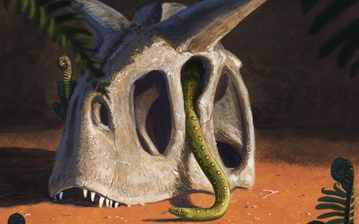 Operação Rei dos Dinossauros Sobre os Dinossauros Cobras e Escadas