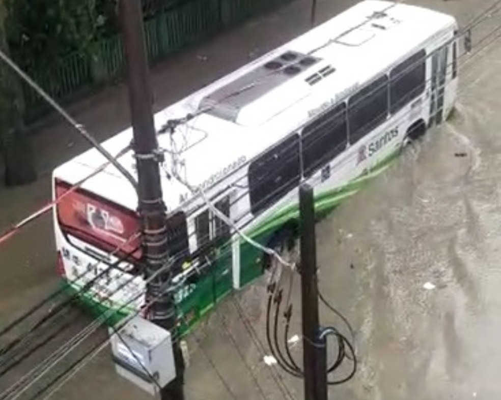Um ônibus municipal teve dificuldade de passar na Praça Washington, perto do Orquidário Municipal de Santos— Foto: Reprodução