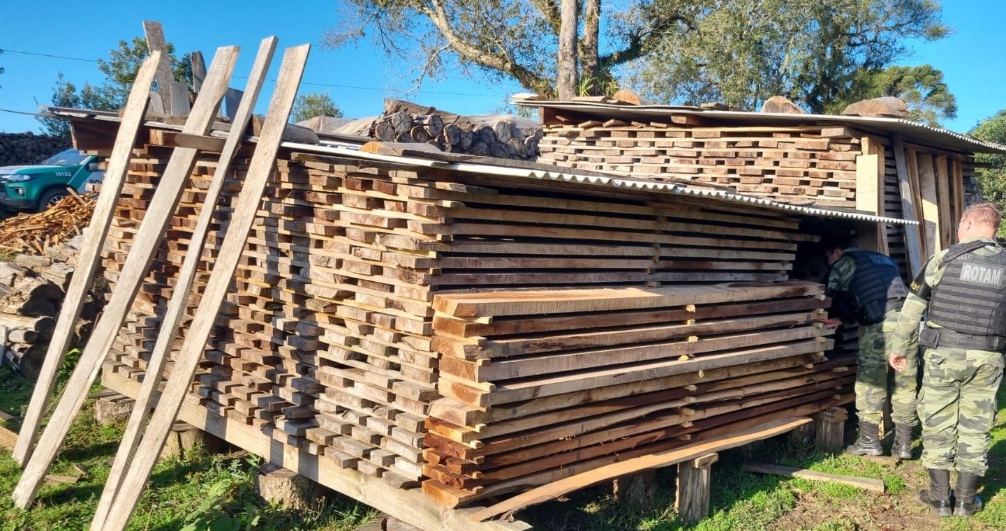 Pombos abatidos, madeira de espécies ameaçadas de extinção e armas são apreendidas durante fiscalização no Paraná