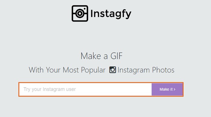 Acesse o site Instagfy e adicione seu nome de perfil do Instagram (Foto: Reprodução/Barbara Mannara)