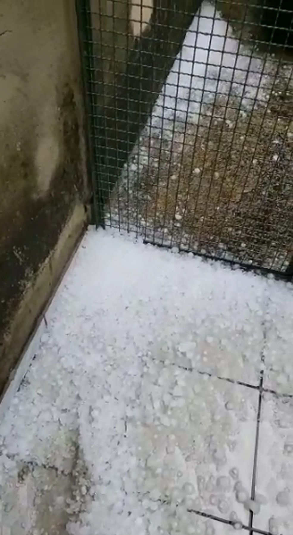 Morador registrou chuva de granizo no bairro Eloy Chaves, em Jundiaí (SP) — Foto: Adailton/Arquivo pessoal