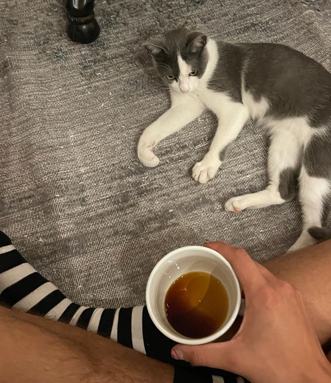 Enzo Celulari e a gata de estimação (Foto: Reprodução / Instagram)