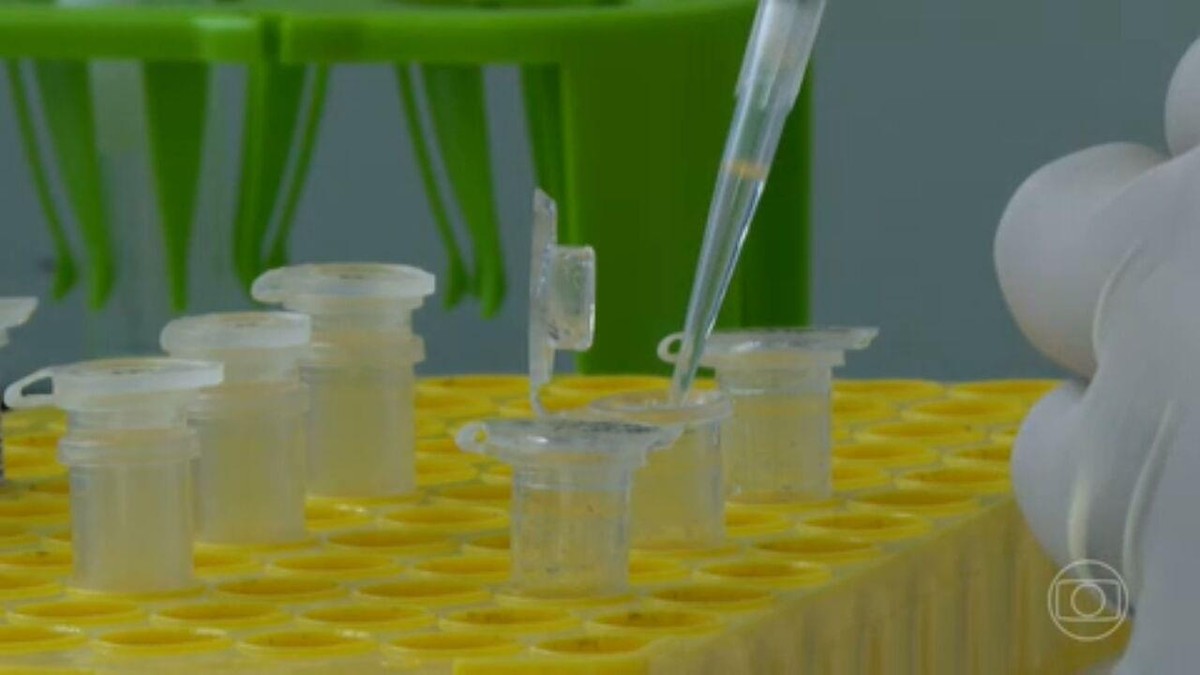 Laborat&oacute;rios particulares fazem pesquisas para determinar &iacute;ndice da  infec&ccedil;&atilde;o pela &ocirc;micron | Jornal Nacional | G1