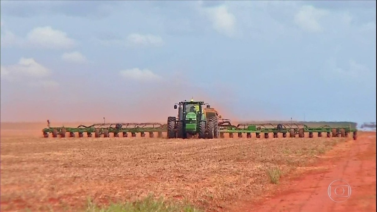Produtores de algodão começam o plantio da safra em Mato Grosso thumbnail