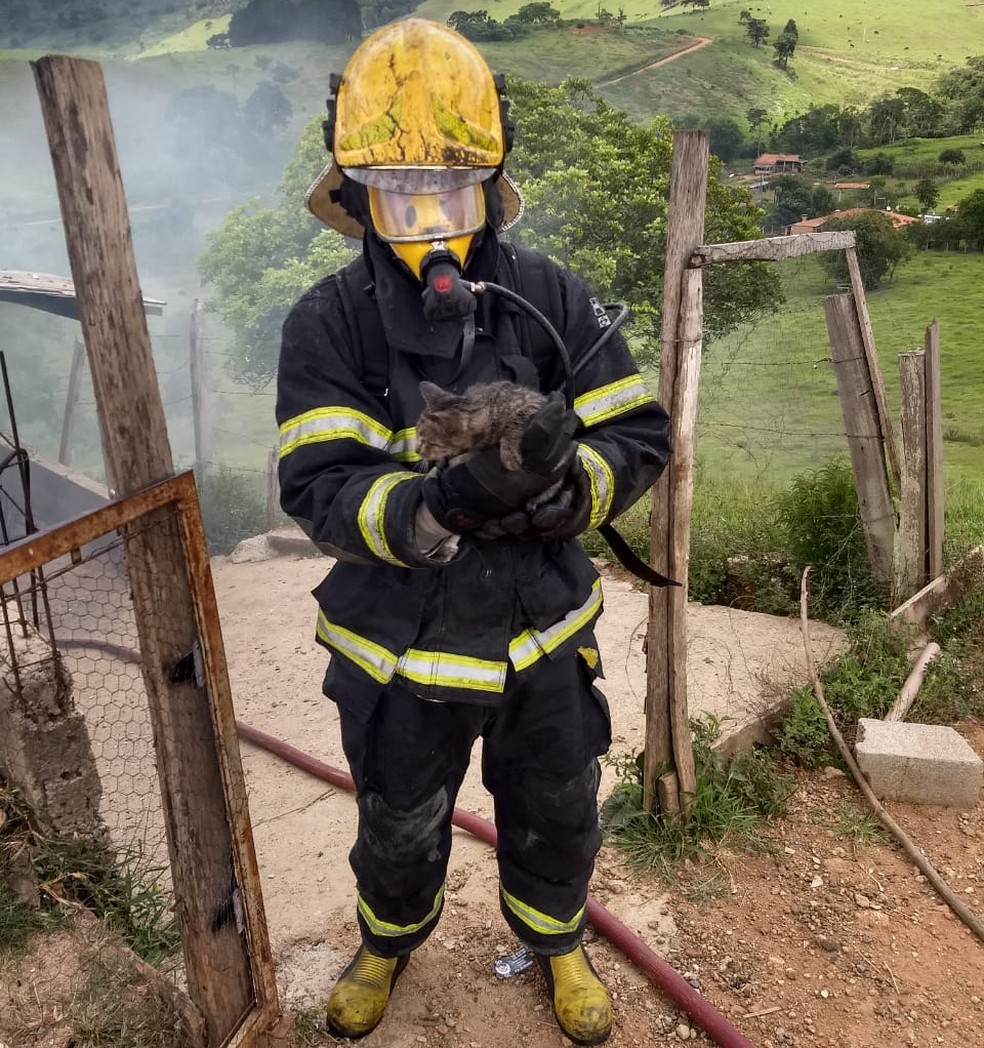Gato foi resgatado sem ferimentos de casa incendiada na zona rural de Poços de Caldas — Foto: Corpo de Bombeiros
