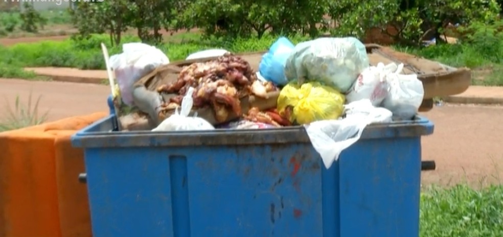 Restos de carnes são descartadas em contêiner de lixo — Foto: Reprodução/TV Anhanguera
