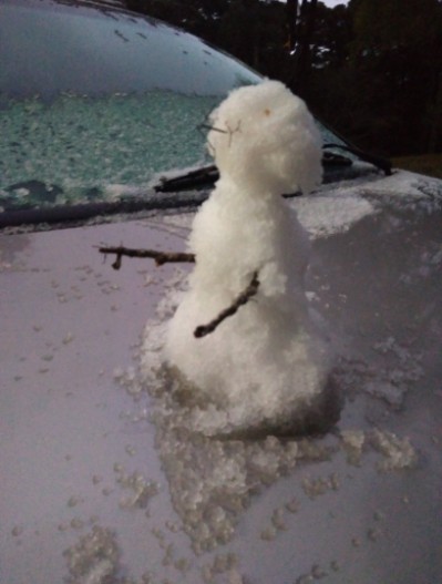 Onda de frio no Brasil inspira bonecos de neve e muitos memes (Foto: Twitter/@M45528107)