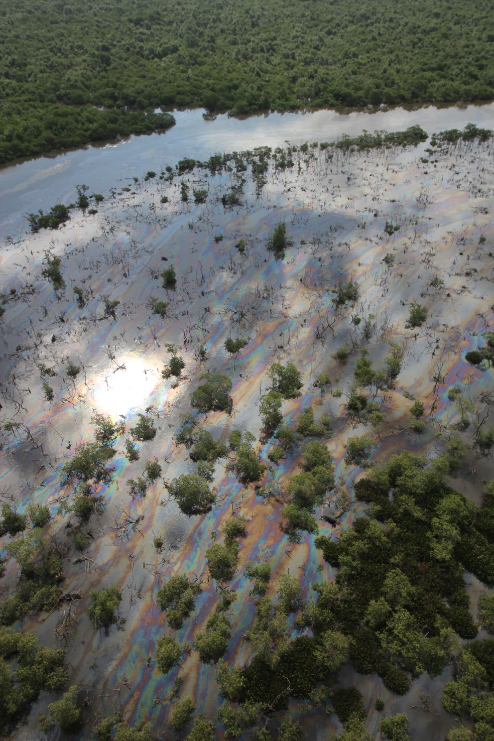 Imagens mostram extensão de vazamento de óleo na BaÃ­a de Guanabara, no RJ â€” Foto: Mário Moscatelli/ Projeto Olho Verde