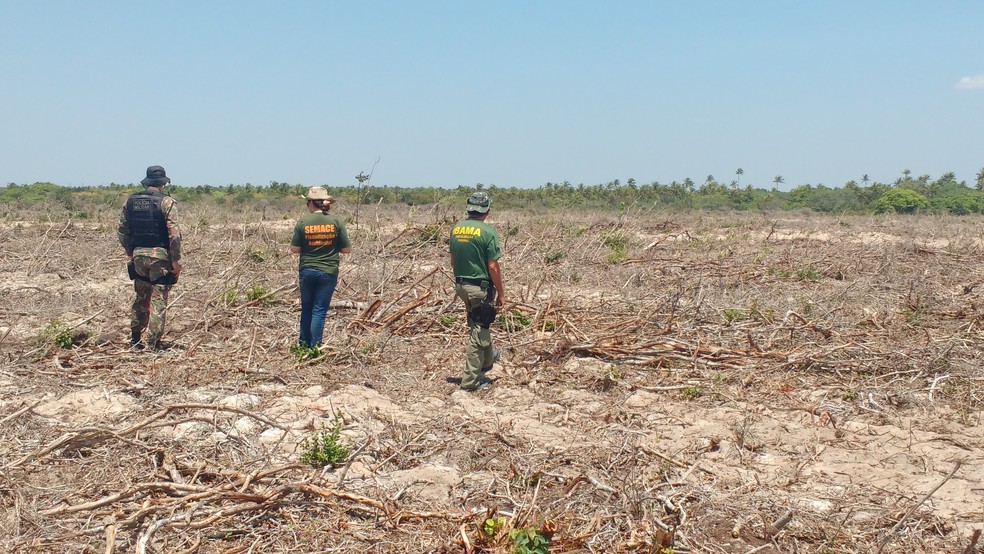 FiscalizaÃ§Ã£o aponta desmatamento ilegal no CearÃ¡ â Foto: MPCE/DivulgaÃ§Ã£o