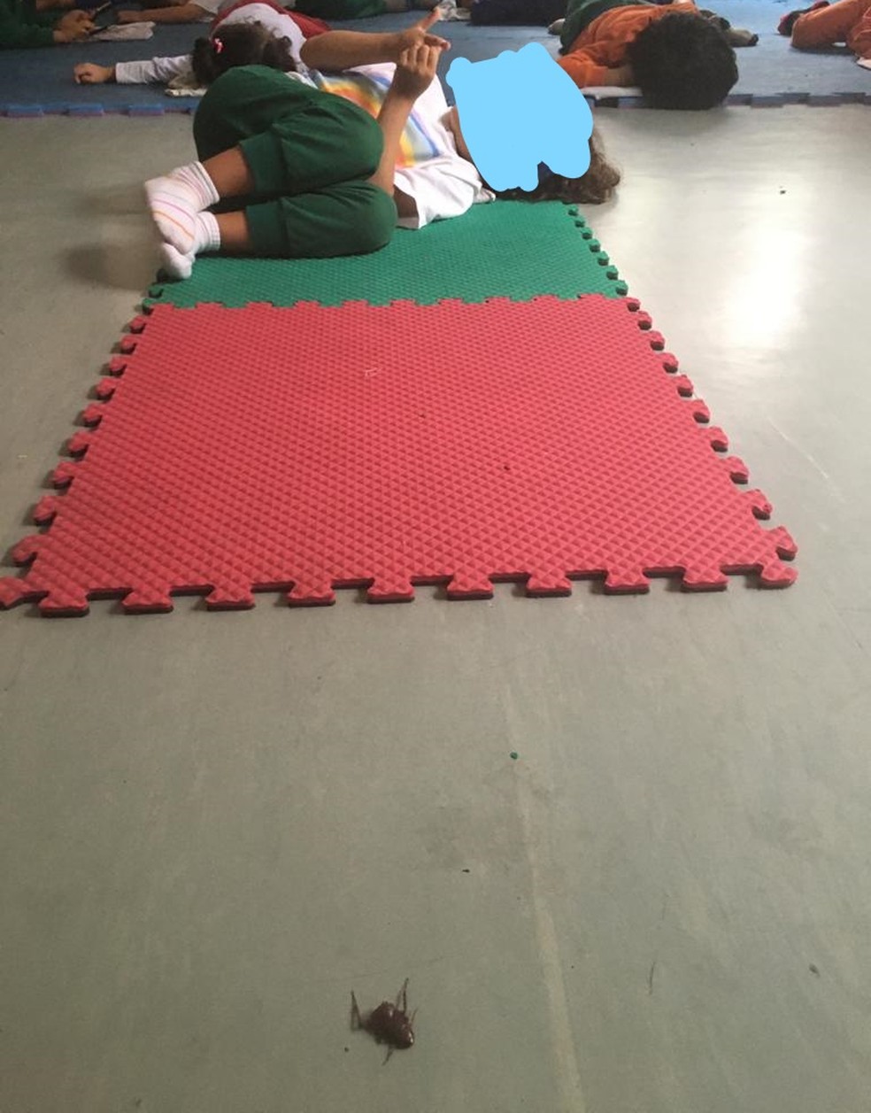 Criança vista perto de barata em escola — Foto: Arquivo Pessoal