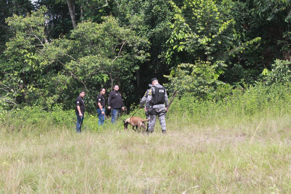 Reserva Florestal Adolpho Ducke, em Manaus — Foto: Eliana Nascimento/G1 AM 