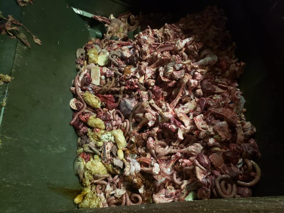 Carne foi levada para descarte em processadora e se tornou matéria prima de ração — Foto: Polícia Civil/Divulgação