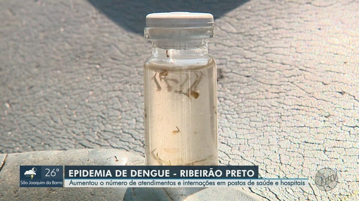 Casos de dengue crescem 71% de janeiro a março em Ribeirão Preto, SP, e causam impactos nas UPAs