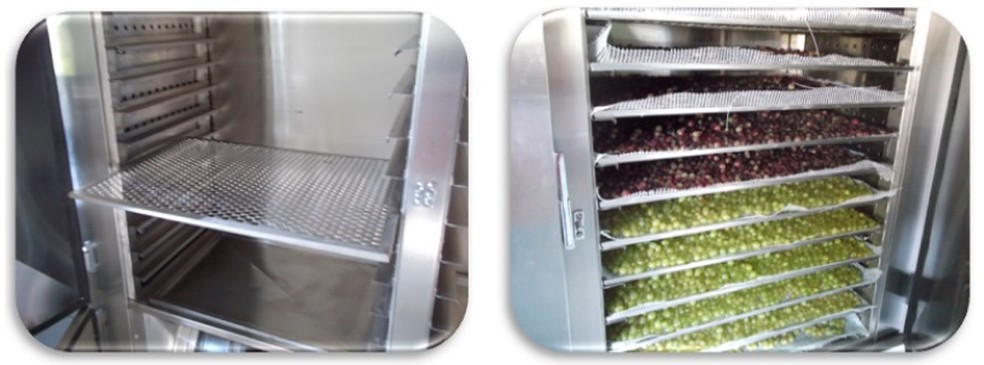 Fornos utilizados para a secagem das uvas. — Foto: Reprodução/Embrapa