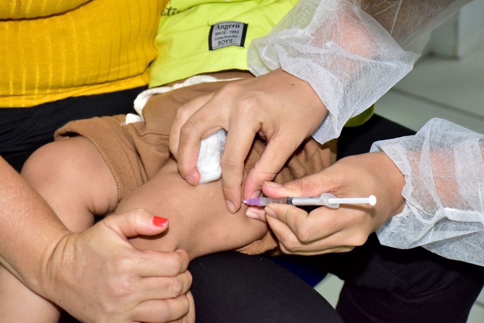 Vacinação contra a gripe no Maranhão: calendário, locais de vacinação e grupos prioritários — Foto: Divulgação/Prefeitura de São Luís