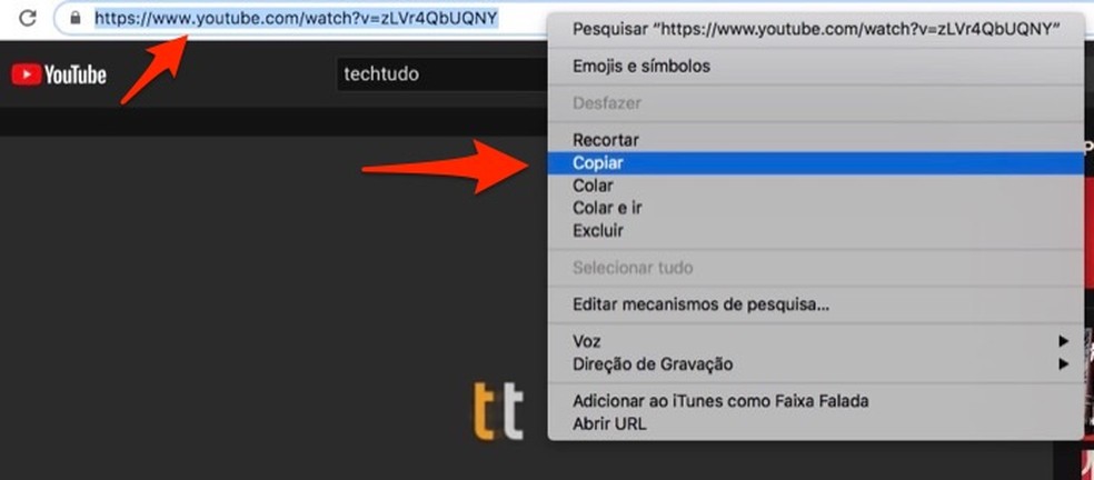 Ação para copiar um novo link de vídeo do YouTube para colar na ferramenta de edição do serviço online Kapwing — Foto: Reprodução/Marvin Costa