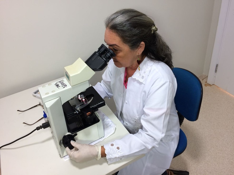 A microscopista do Hospital Irmã Aquilina, Maria Pinho, analisa lâminas com amostras de sangue (Foto: Alan Chaves/G1 RR)