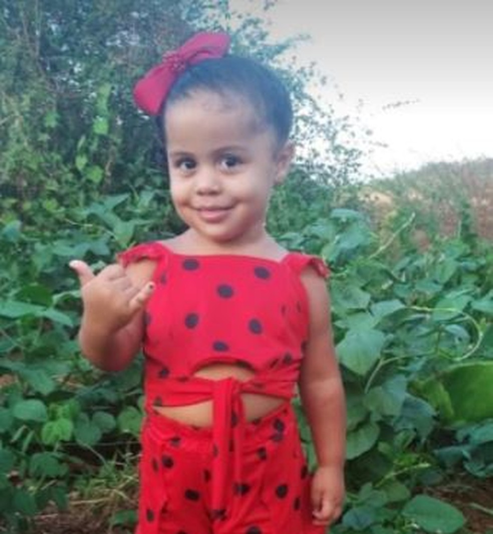 Maria Luiza Ferreira de Oliveira, 2 anos, estava em um carro acompanhada da mãe, do irmão e da tia quando o condutor perdeu o controle e o veículo capotou em Lavras da Mangabeira. — Foto: Arquivo pessoal