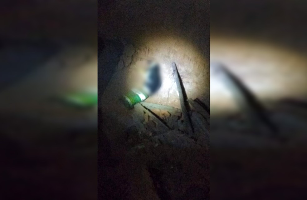 Corpo do cão morto a pauladas foi jogado dentro de buraco em Cerqueira César — Foto: Arquivo Pessoal
