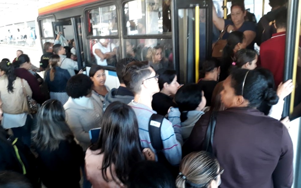 Frota de ônibus só para mulheres funcionaria nos horários de pico (Foto: Guilherme Mendes/ TV Anhanguera)