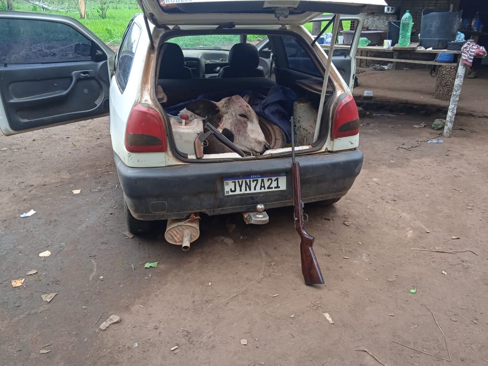 Animal foi encontrado abatido no porta malas de carro  Foto: Polcia Militar