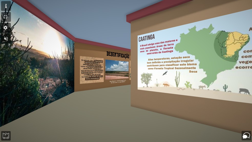 Caatinga é tema de nova exposição virtual do Museu Câmara Cascudo — Foto: Reprodução