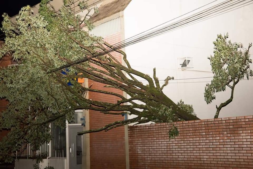 Chuva forte e ventos causaram destruição em Aguaí — Foto: Aquivo pessoal