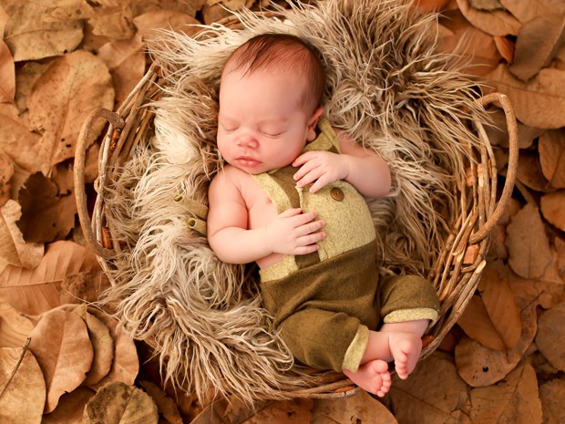 O bebê Gabriel é fotografado em um cestinho de palha (Foto: Sheyla Pinheiro/Reprodução)