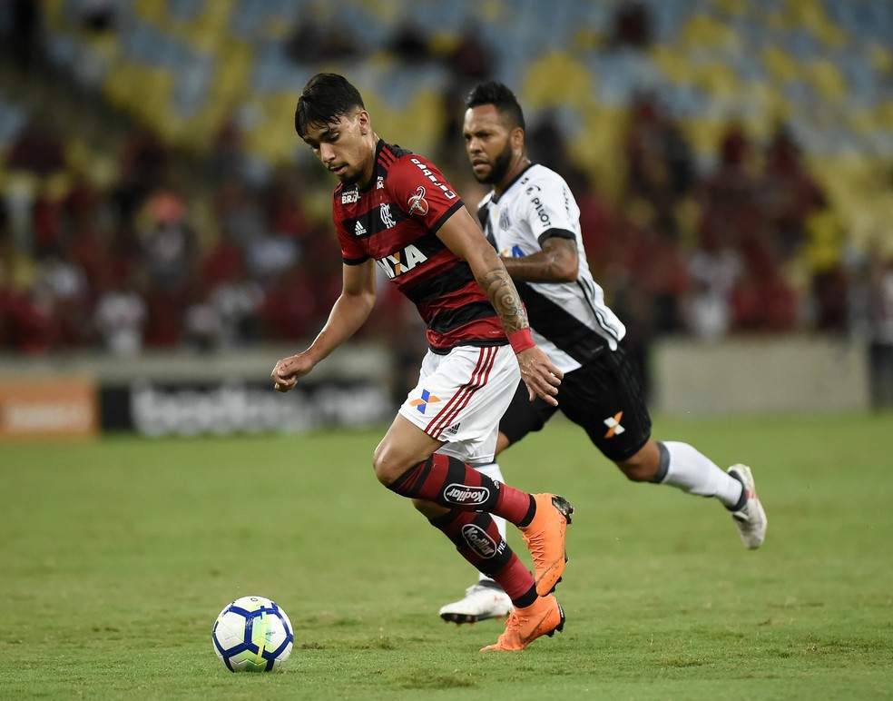Flamengo x Ponte Preta Copa do Brasil PaquetÃ¡ (Foto: AndrÃ© DurÃ£o)