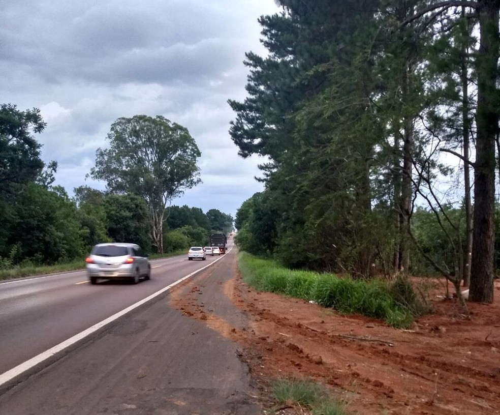 Corpo de Jonathan foi encontrado próximo a um parque de Eldorado do Sul, na Região Metropolitana de Porto Alegre (Foto: Divulgação/Polícia Civil )